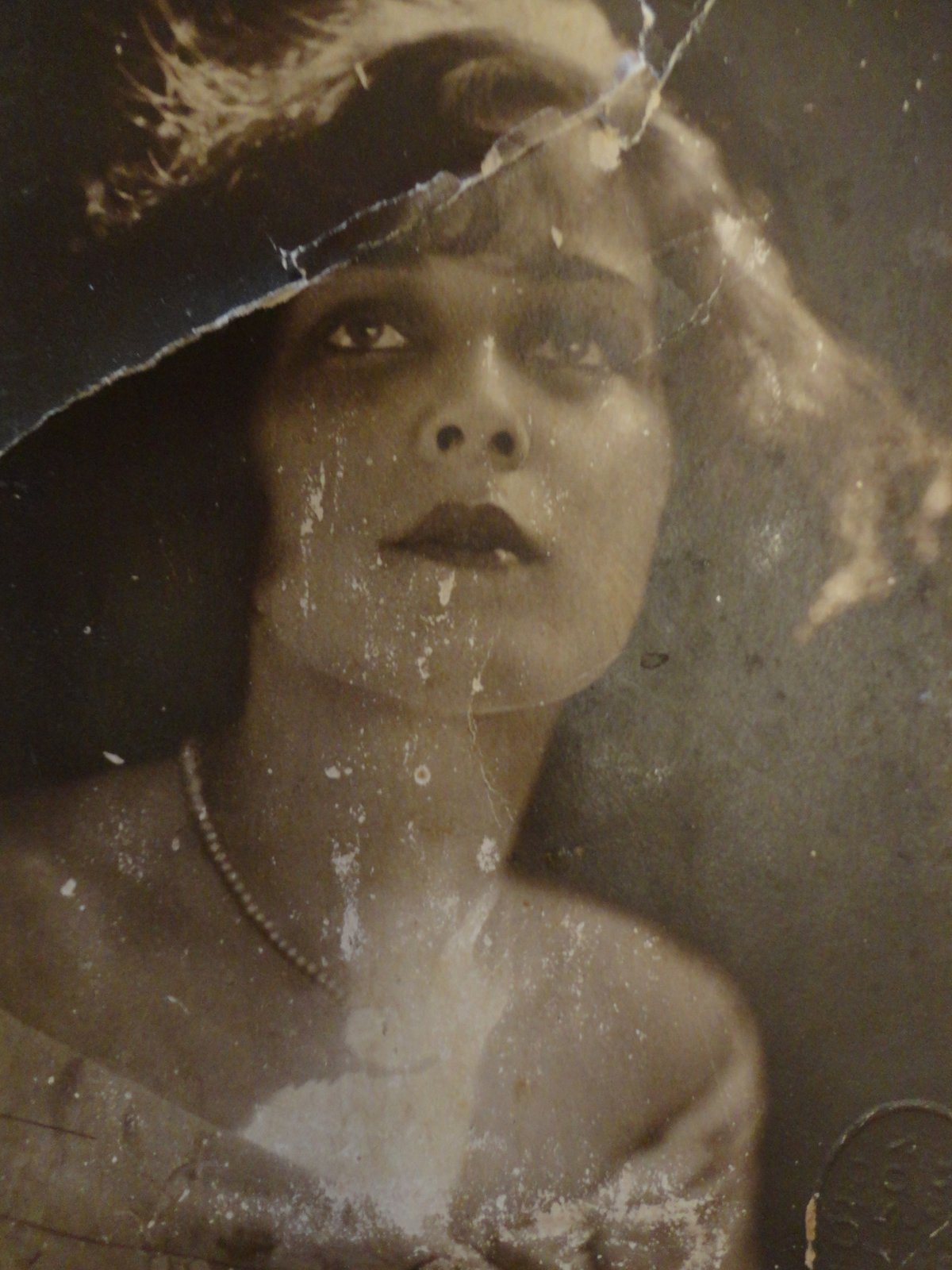 How Old Is Albedo In Spy x Family According To Character Lists?